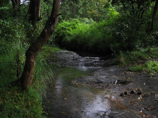 Streams like this one are protected under the federal Clean Water Act, but whether they will continue to be defined as protected depends on the final version of the 2018 Farm Bill.
