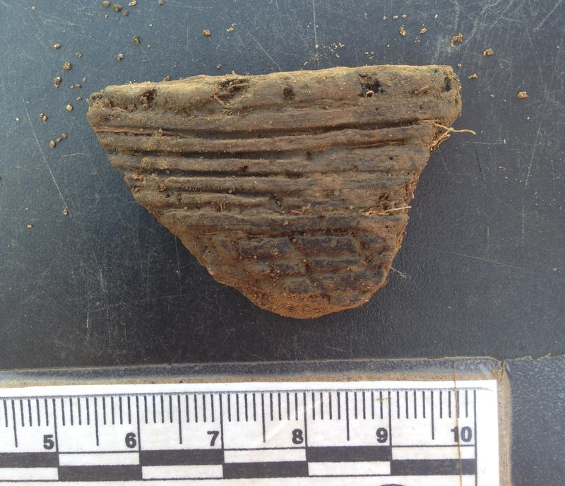 An uncovered piece of Native American pottery.