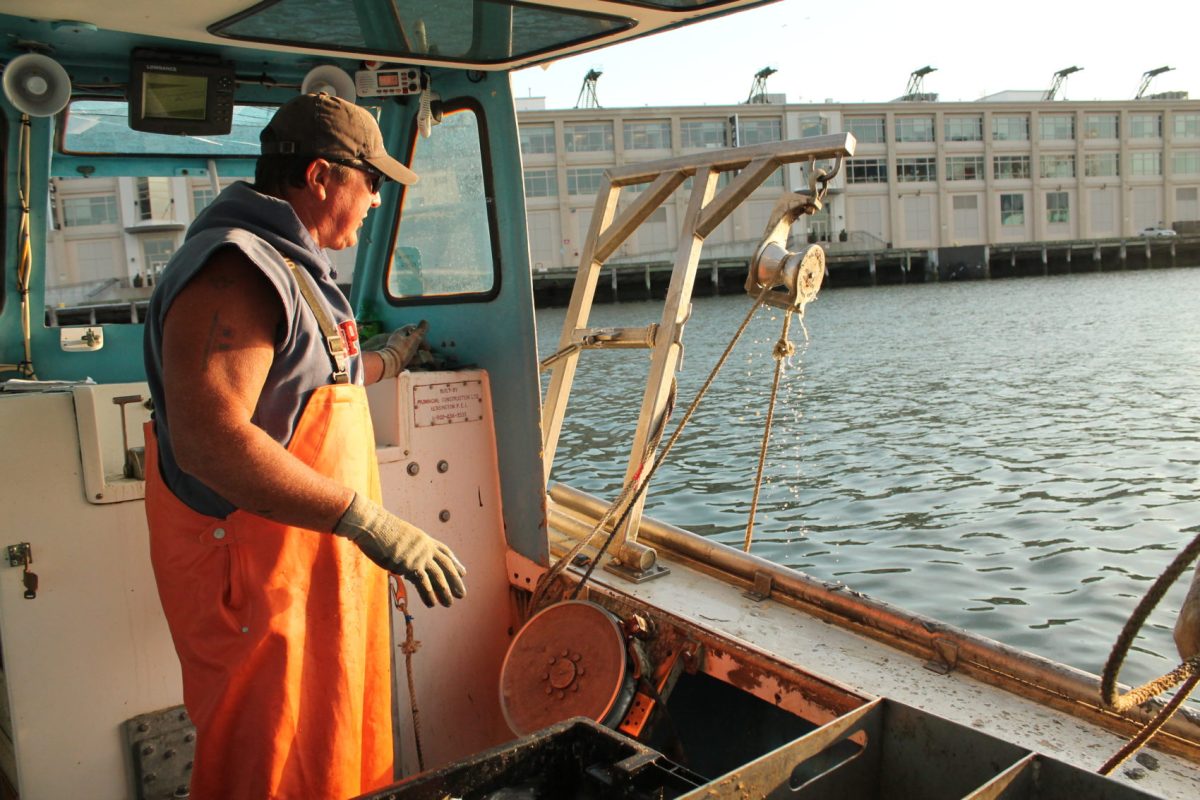 Lobsterman Steve Holler hoists his lobster traps out of Boston Harbor and into his boat on a July morning.