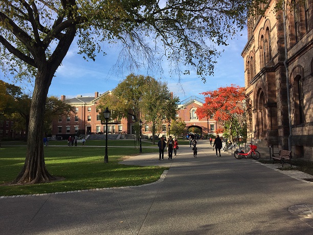 Brown University's campus. Turnout among college students is usually very low during midterm elections.