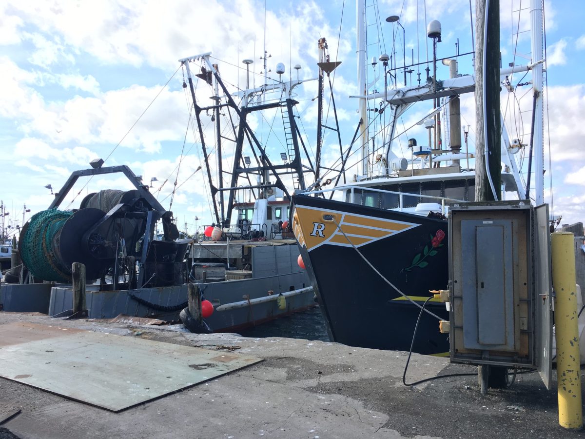 Commercial fishing boats docked at a pier in Galilee.