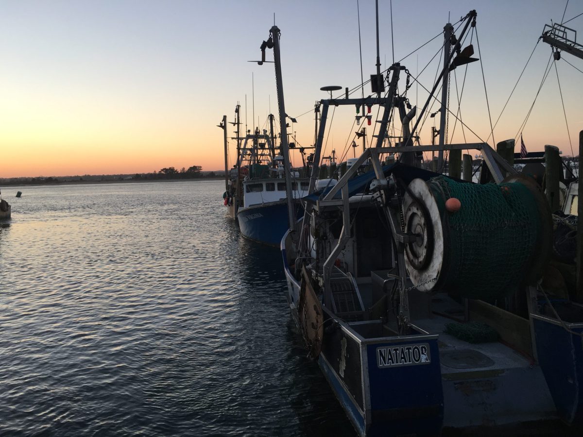 Boats docked at a pier near the Block Island Ferry.