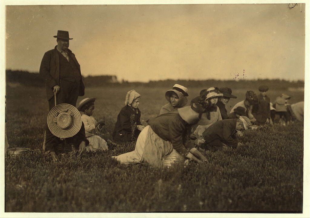 A group of cranberry bog workers are pictured on Smart’s Bog in the vicinity of South Carver, Mass., in September 1911.