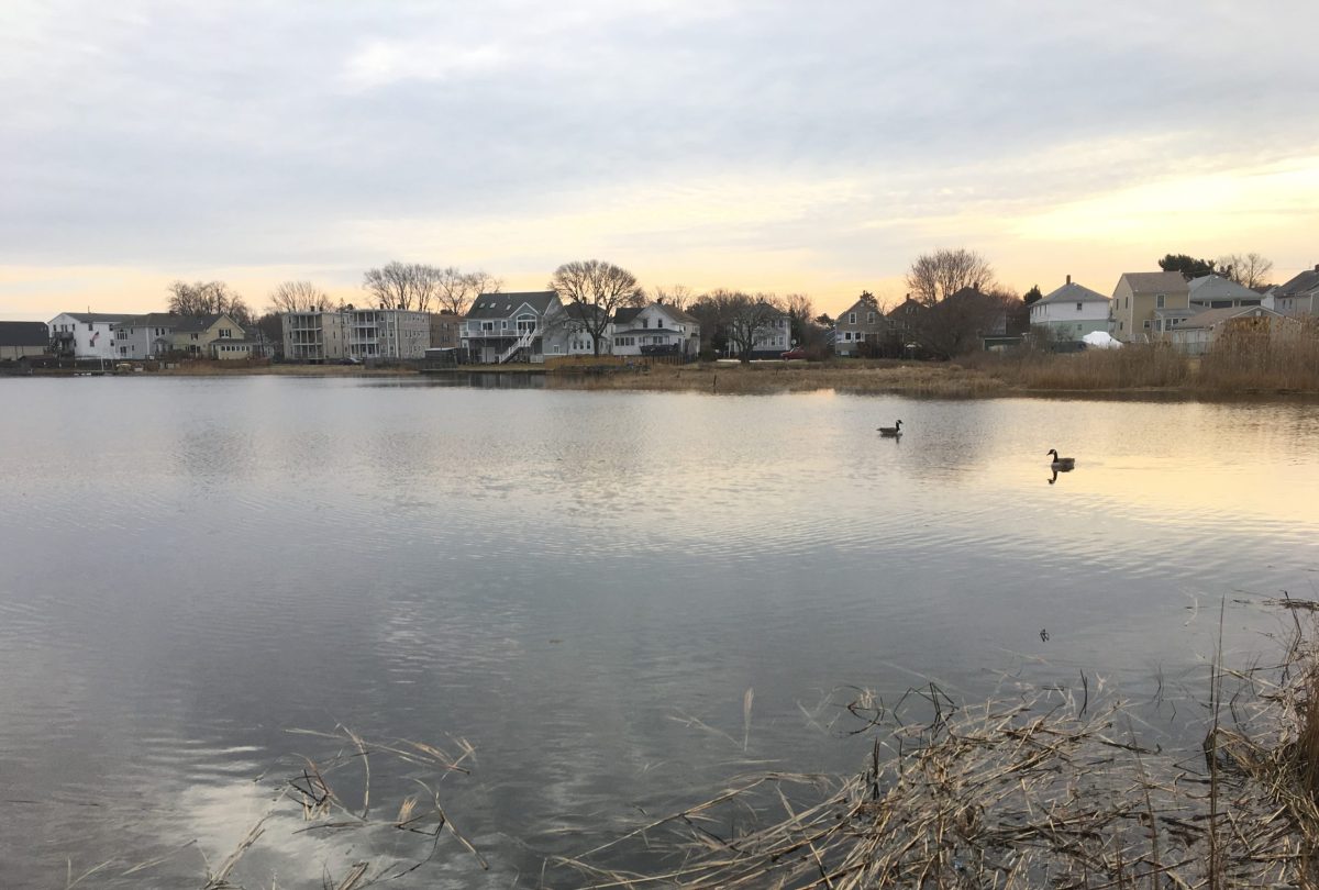 Homes and businesses line Belcher Cove in Warren