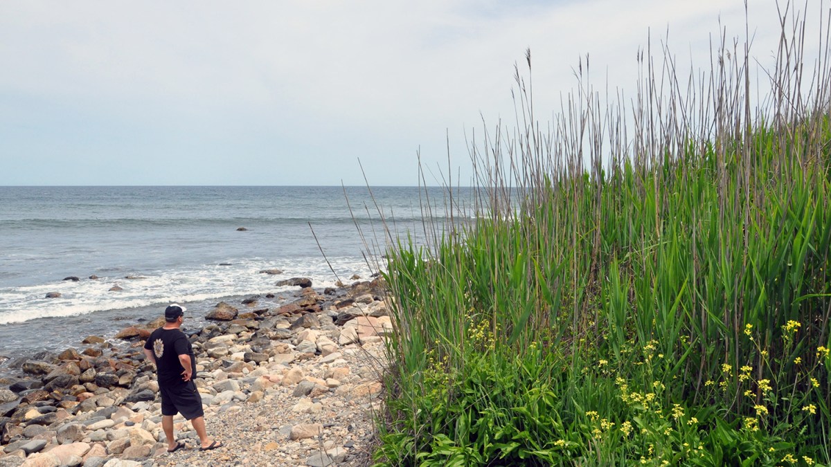 A beach shoreline scene in Narragansett, R.I.