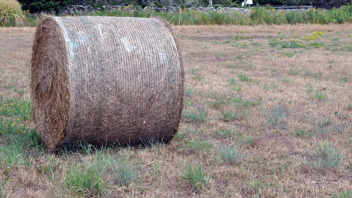 The Avondale Farm Preserve in Westerly.