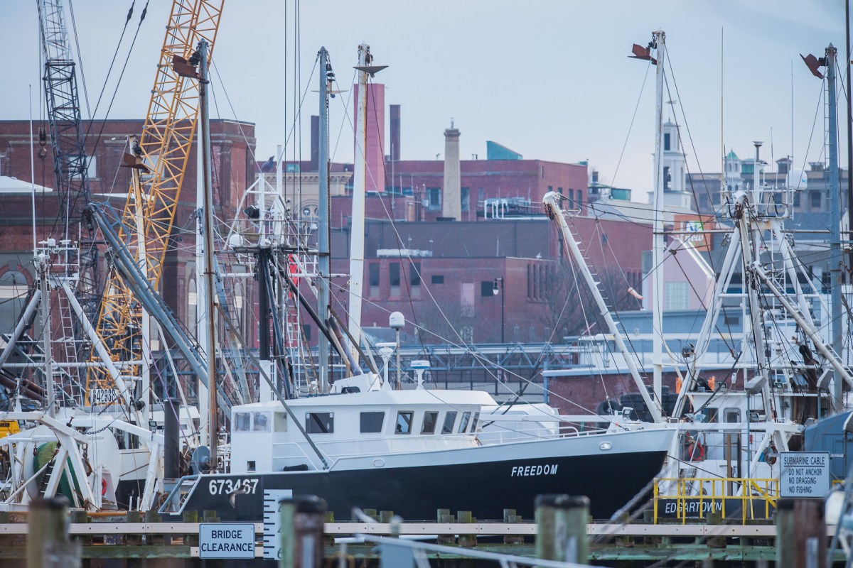 New Bedford is the nation's highest-grossing fishing port, and scallop landings account for about 80 percent of the port's revenue.