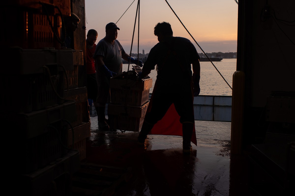 Crew members from the crab boat Hannah Boden unload their catch onto the dock of The Atlantic Red Crab Co. in New Bedford, Massachusetts on Sept. 6, 2023.