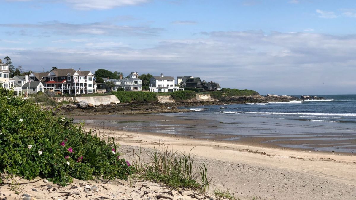 Why did we see so many beach closures this year?