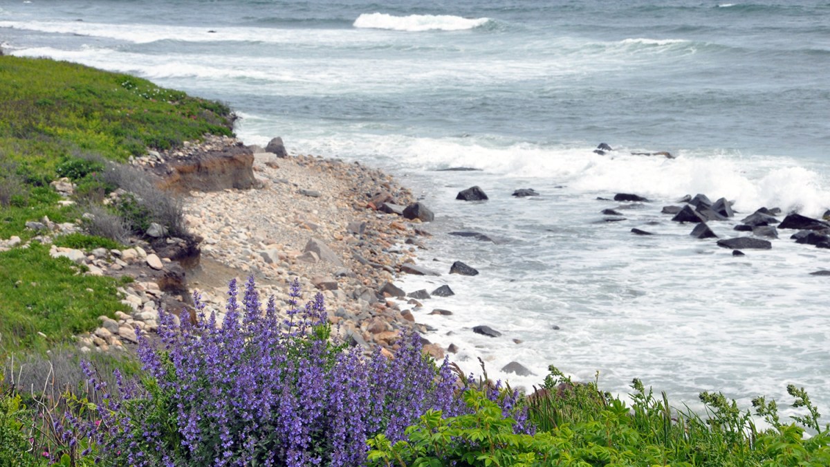 A shoreline scene along the Rhode Island coast in Narragansett.
