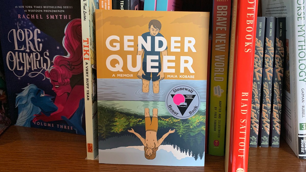 The graphic novel "Gender Queer: A Memoir," by Maia Kobabe.
