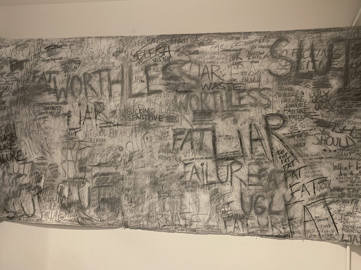 You can see these two shows, Words Matter and Sticks and Stones, through July 14 at the Rhode Island Center for Photographic Arts, located on the second floor at 118 North Main Street in Providence.