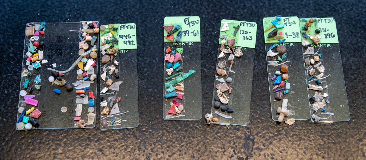 A new URI study has found extensive microplastics in Narragansett Bay. Researchers Victoria Fulfer and J.P. Walsh estimate that the top 2 inches of the floor of Narragansett Bay now contain more than 1,000 tons of microplastics, and that buildup has occurred in just the last 10 to 20 years.