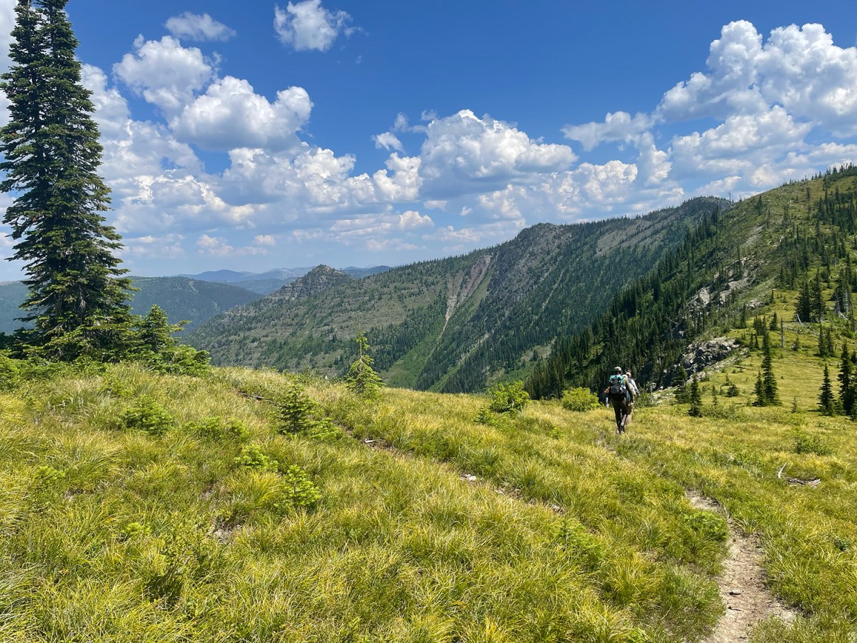 Green grasses on the ridge of a mountain. Two hikers appear in the foreground and multiple mountains appear in the background.