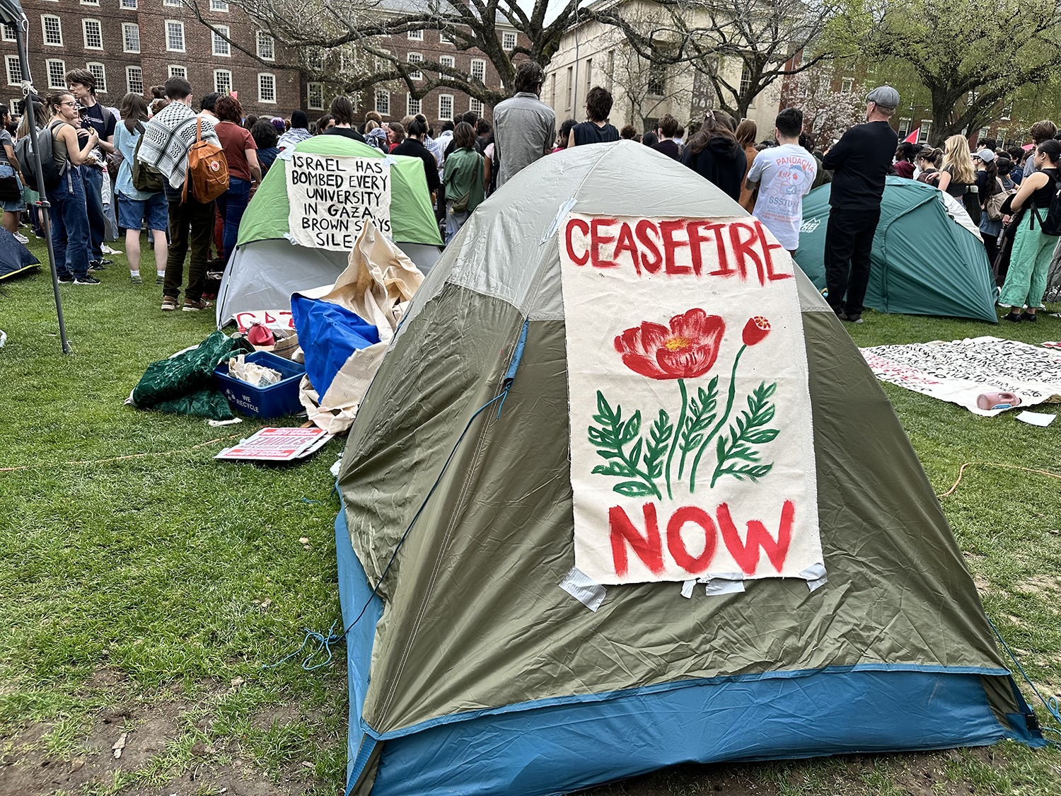 Brown University professors accuse administrators of ‘intim…