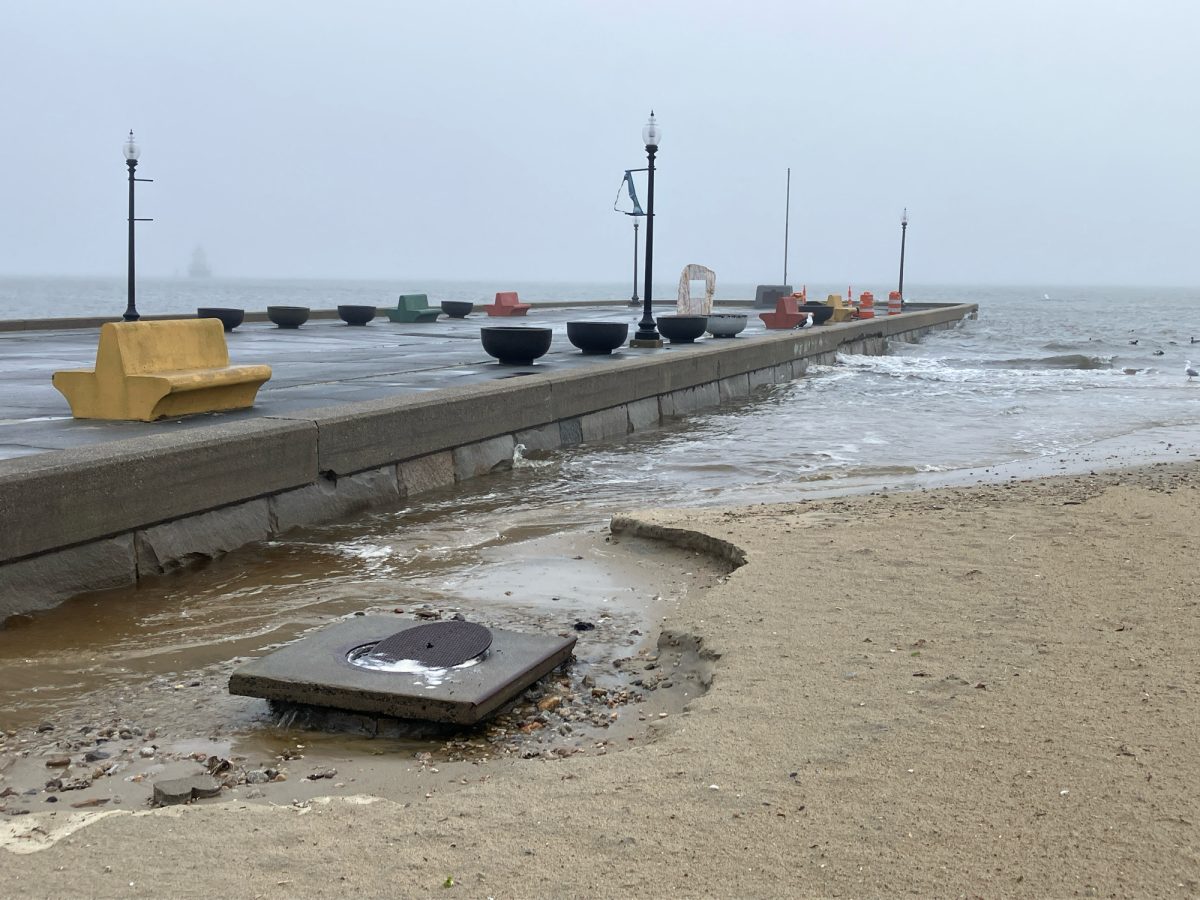 ‘That conversation is coming’: South Coast towns may consider managed retreat, green infrastructure in response to rising seas