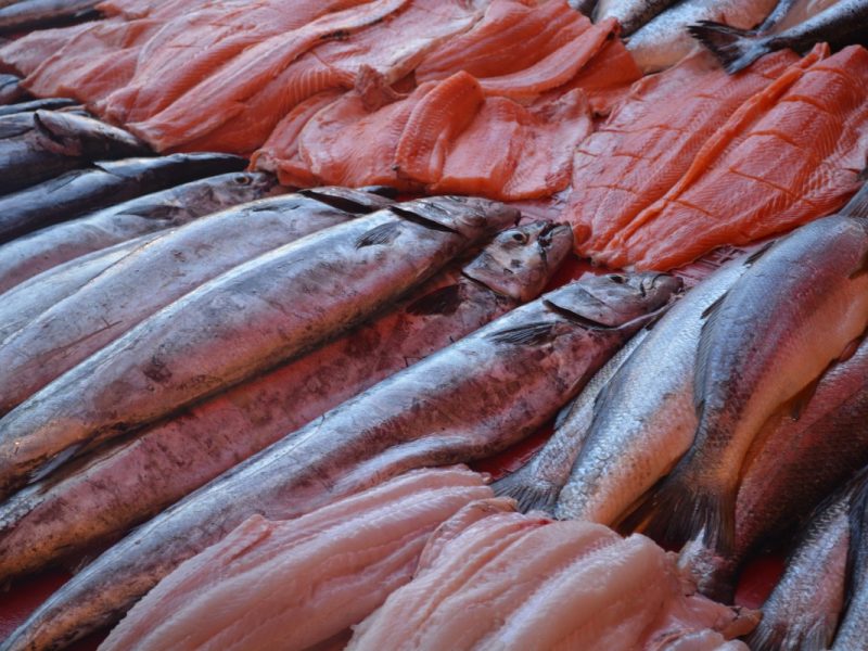 Child labor law violations in Fall River, behind the failed Star Store-UMass Dartmouth deal, and more